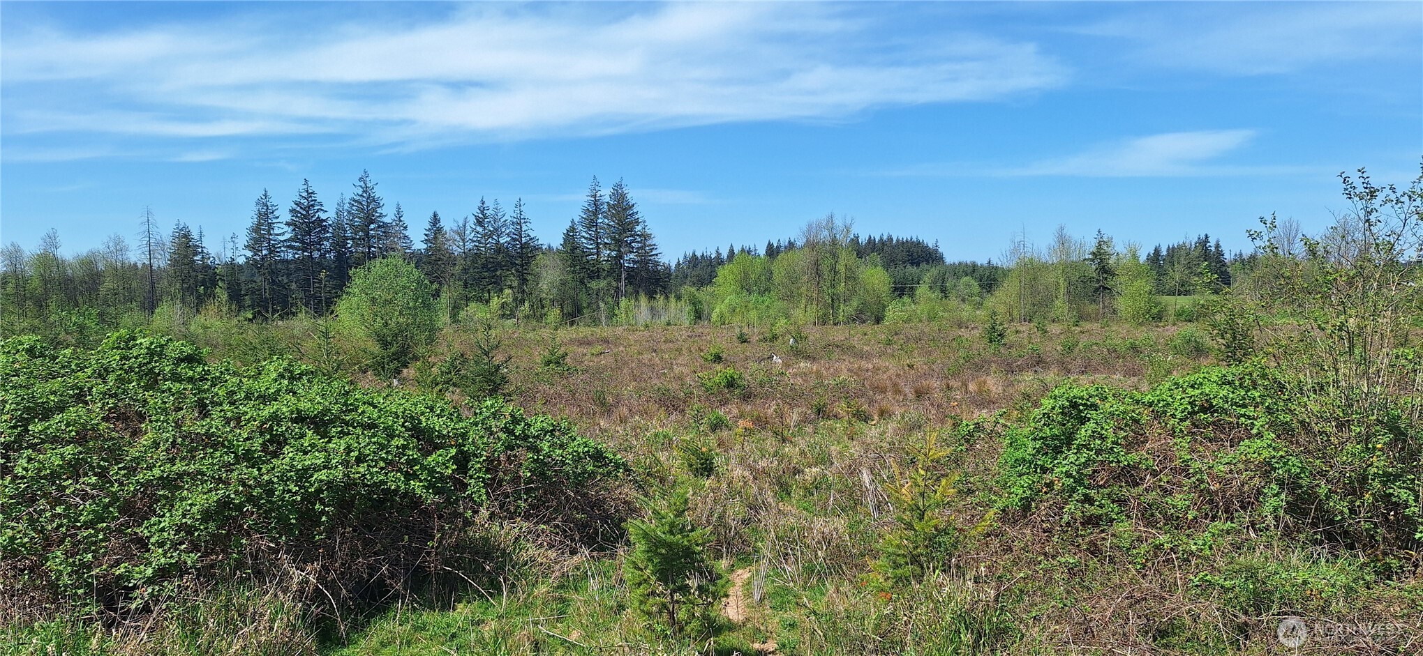123 Meier Road Winlock, WA 98596 - Photo 10 of 23 a view of a city with lush green forest