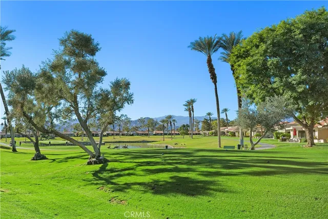 a view of a big yard with a palm trees