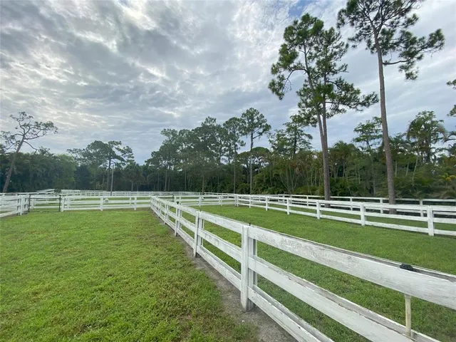 a view of a park with a large trees
