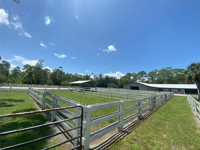 a view of a yard with plants and trees