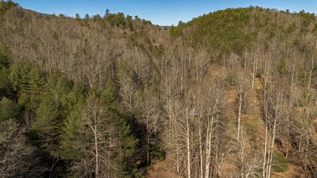 200 Mt Liberty Road McCaysville, GA 30555 - Photo 14 of 26 a view of a dry yard