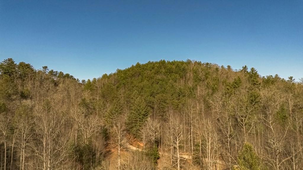 200 Mt Liberty Road McCaysville, GA 30555 - Photo 15 of 26 a view of mountain