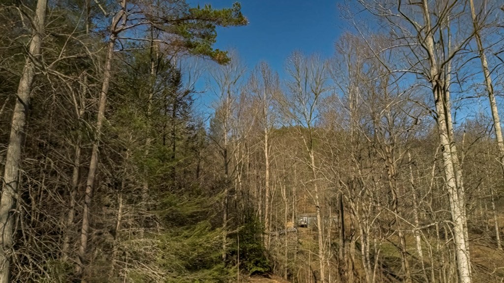 200 Mt Liberty Road McCaysville, GA 30555 - Photo 16 of 26