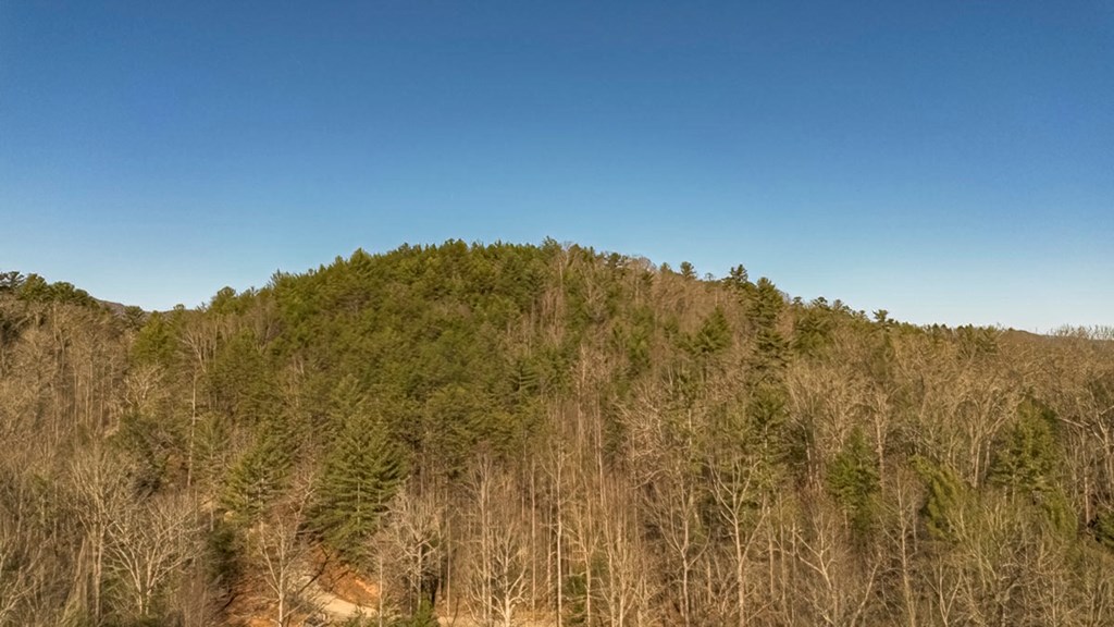 200 Mt Liberty Road McCaysville, GA 30555 - Photo 20 of 26 a view of mountain