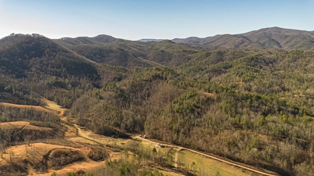 200 Mt Liberty Road McCaysville, GA 30555 - Photo 24 of 26 a view of a forest with a mountain