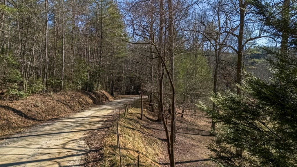 200 Mt Liberty Road McCaysville, GA 30555 - Photo 25 of 26 a view of a yard with plants and trees