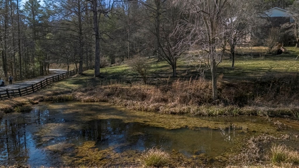 200 Mt Liberty Road McCaysville, GA 30555 - Photo 26 of 26 a view of lake