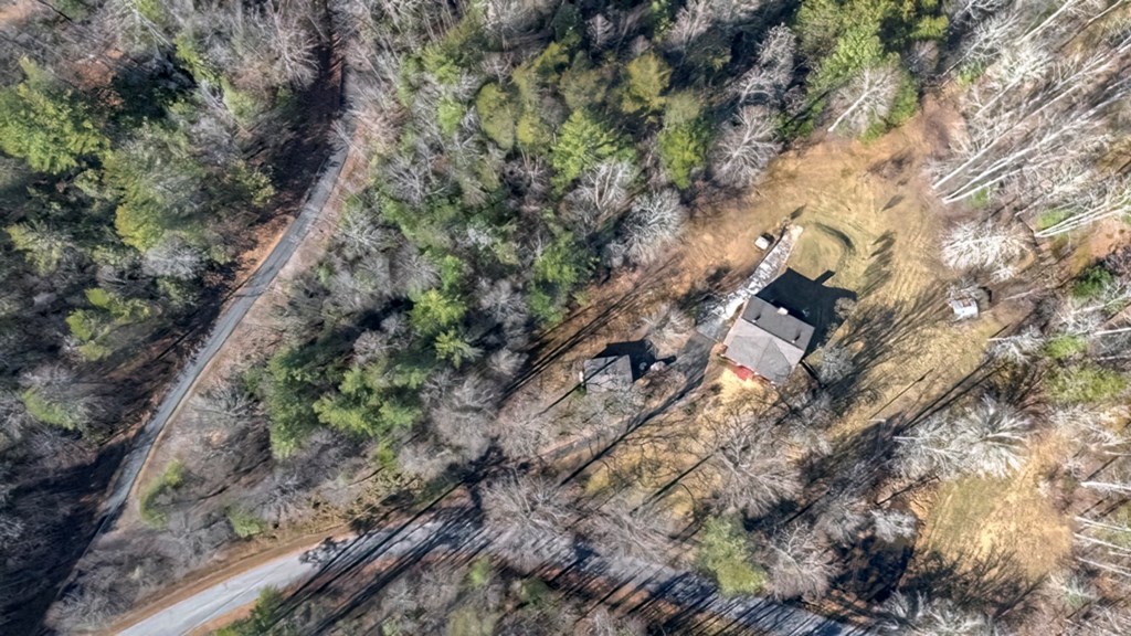 200 Mt Liberty Road McCaysville, GA 30555 - Photo 7 of 26 a picture of tree