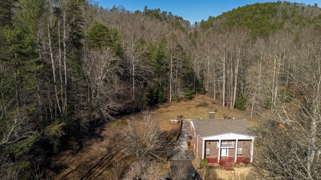 200 Mt Liberty Road McCaysville, GA 30555 - Photo 9 of 26 a view of a house with a yard