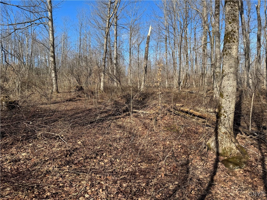 Post Road Ripley, NY 14775 - Photo 11 of 18