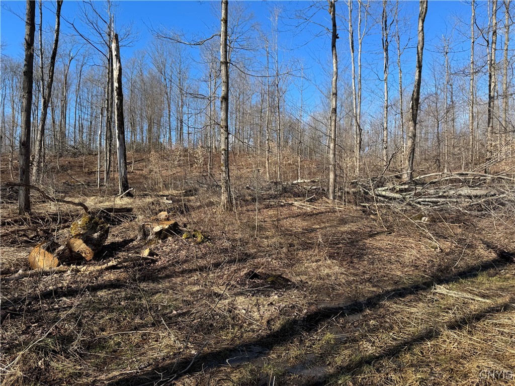 Post Road Ripley, NY 14775 - Photo 12 of 18