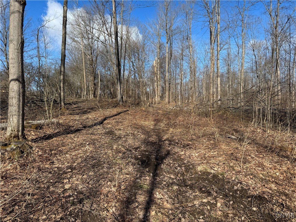 Post Road Ripley, NY 14775 - Photo 13 of 18