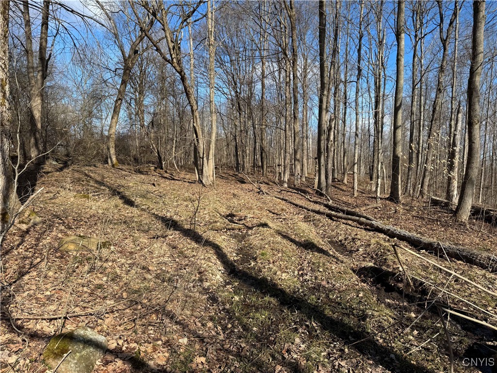 Post Road Ripley, NY 14775 - Photo 14 of 18