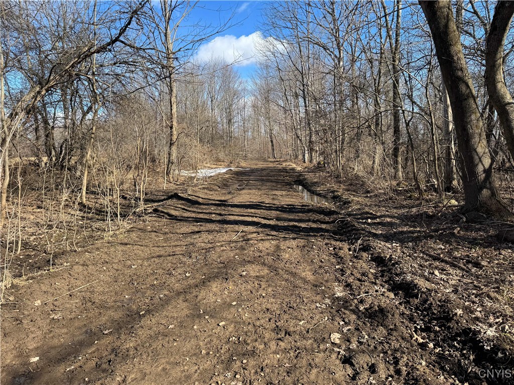 Post Road Ripley, NY 14775 - Photo 16 of 18