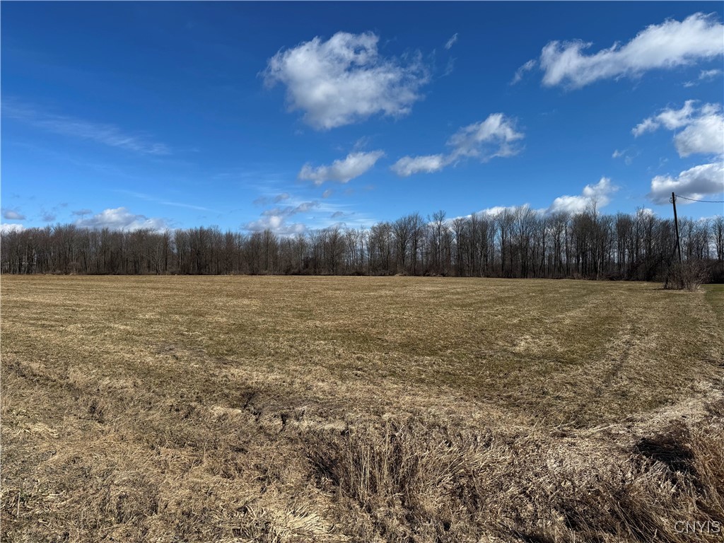 Post Road Ripley, NY 14775 - Photo 18 of 18