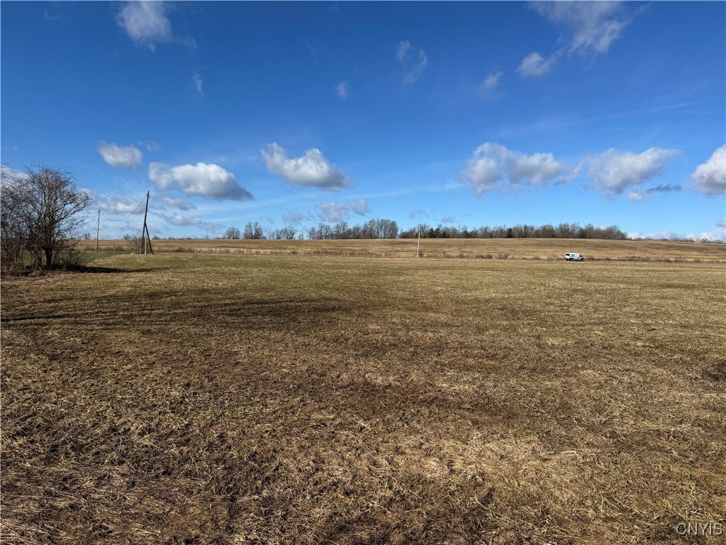 Post Road Ripley, NY 14775 - Photo 4 of 18