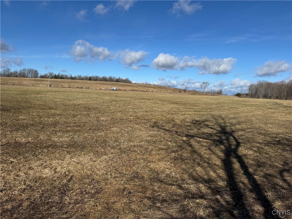 Post Road Ripley, NY 14775 - Photo 5 of 18