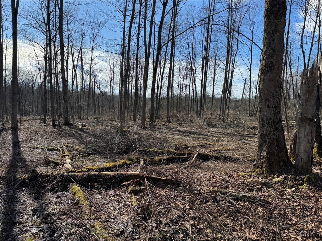 Post Road Ripley, NY 14775 - Photo 7 of 18