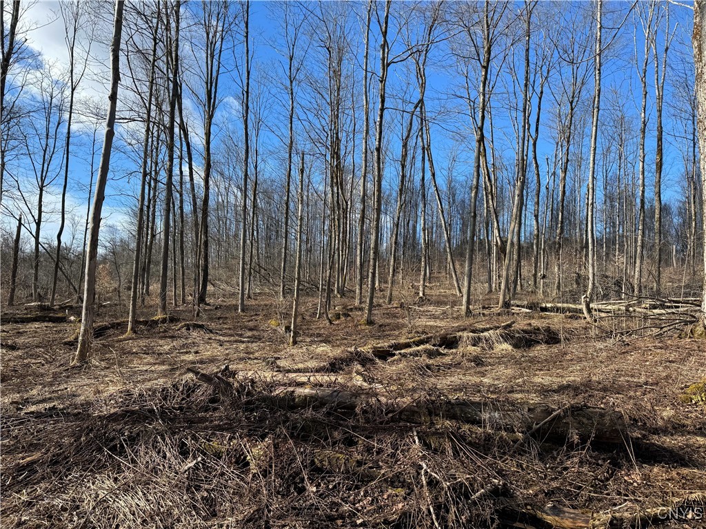 Post Road Ripley, NY 14775 - Photo 8 of 18