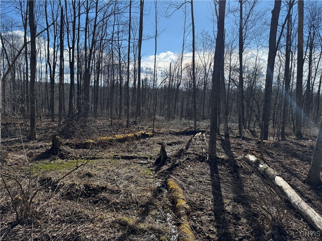 Post Road Ripley, NY 14775 - Photo 9 of 18