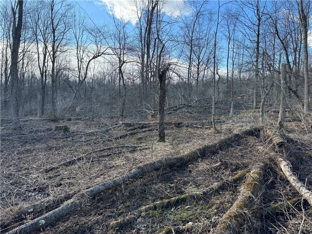 Post Road Ripley, NY 14775 - Photo 10 of 18