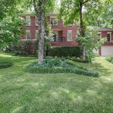 a view of a backyard with plants and large trees