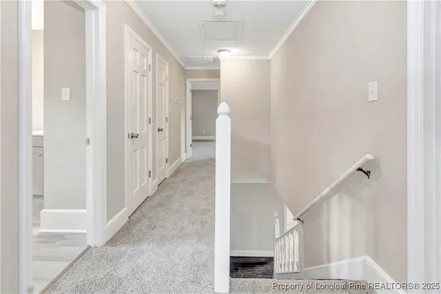 a view of a hallway with windows and entryway