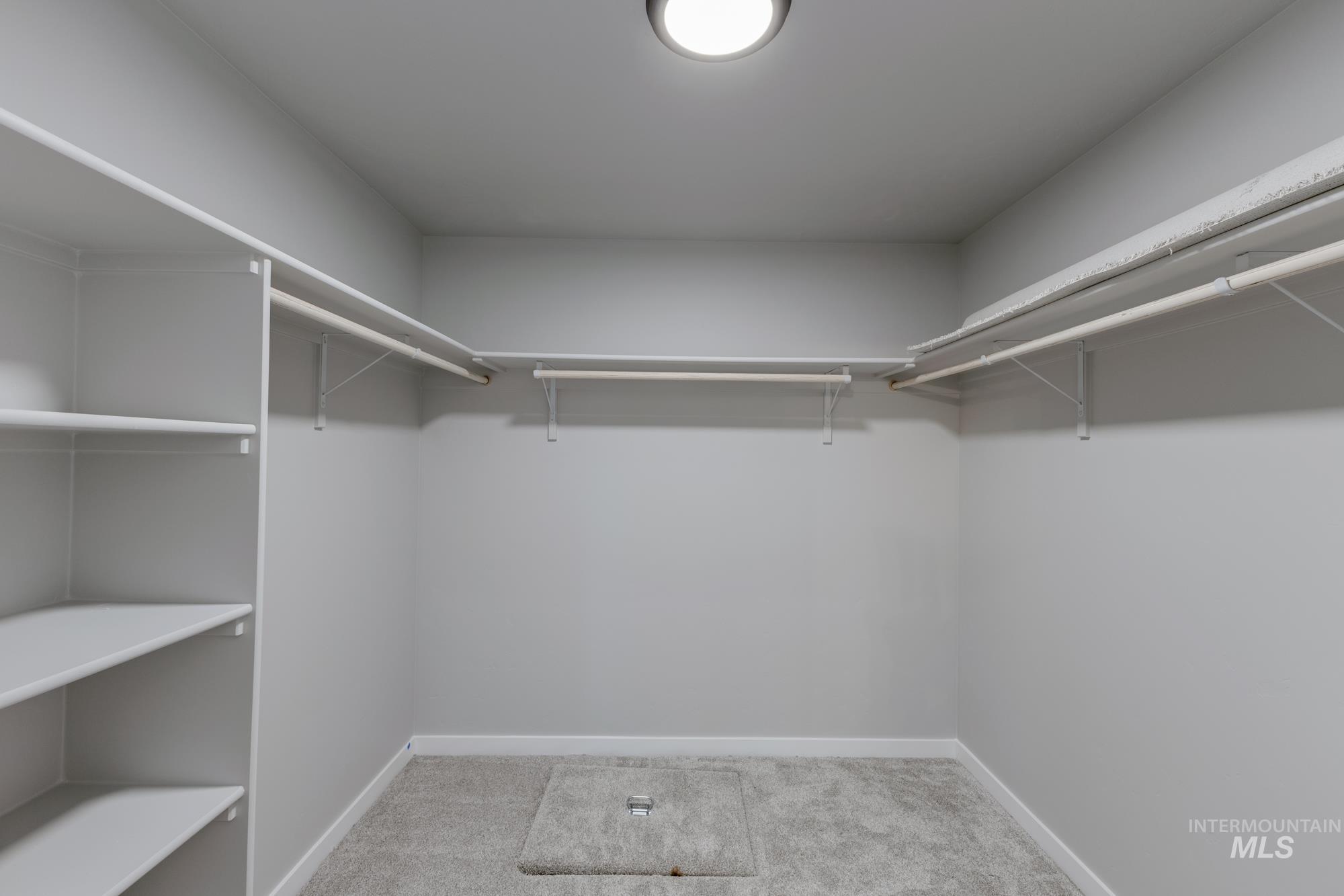 907 North Aleppo Way Meridian, ID 83642 - Photo 19 of 19 Walk in closet featuring light carpet