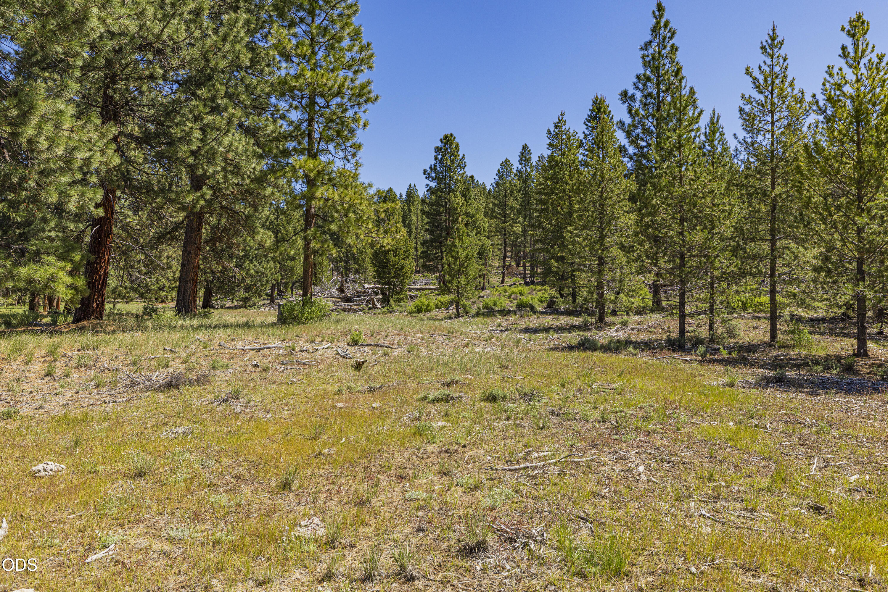 Williamson River Road, Unit 206226 Chiloquin, OR 97624 - Photo 38 of 50