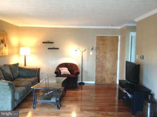 5111 8th Road South, Unit 407 Arlington, VA 22204 - Photo 2 of 15 Living Room