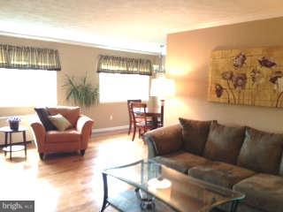 5111 8th Road South, Unit 407 Arlington, VA 22204 - Photo 3 of 15 Living Room