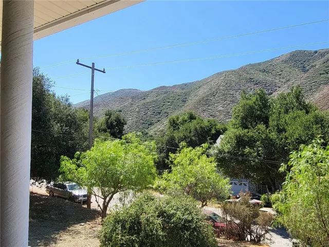 a view of a backyard with plants