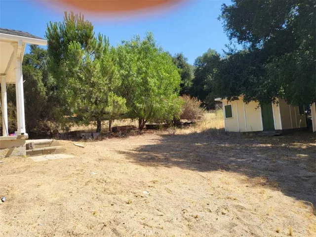 a view of a yard with a tree