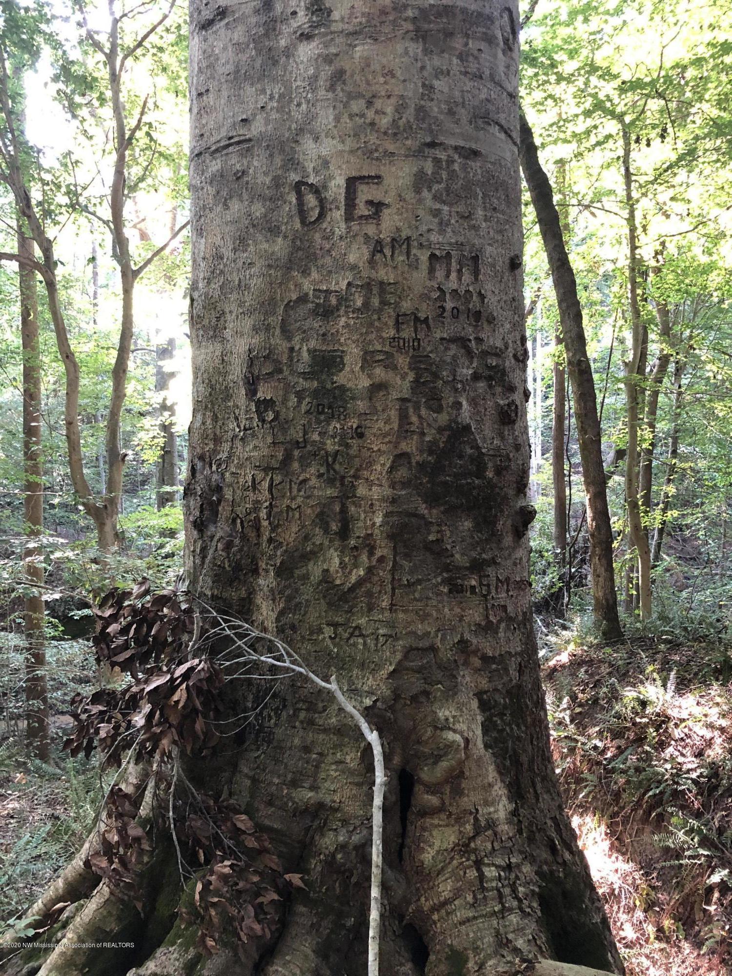0 Askew Road Crenshaw, MS 38621 - Photo 3 of 10 Family Tree