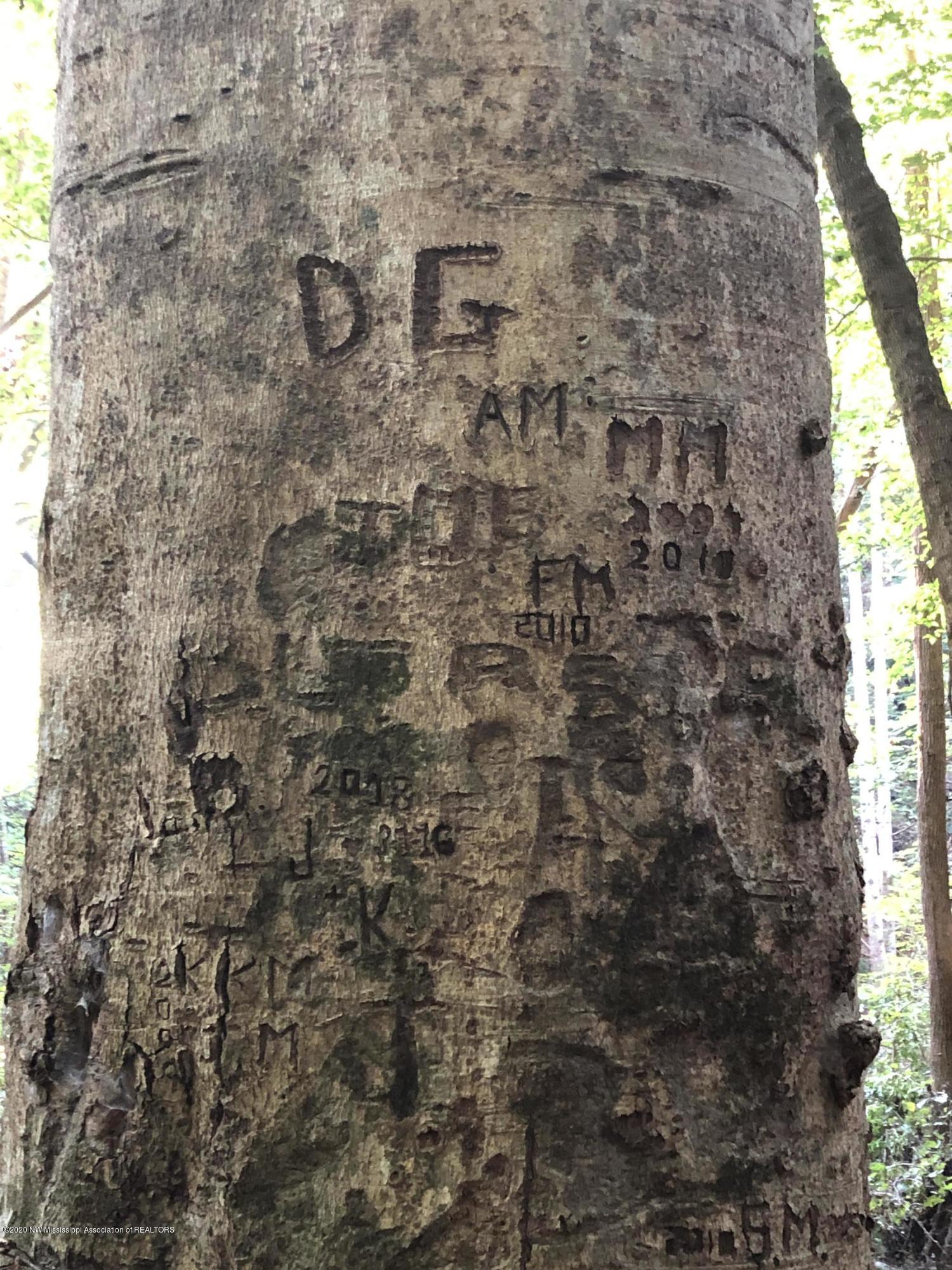 0 Askew Road Crenshaw, MS 38621 - Photo 4 of 10 Family Tree