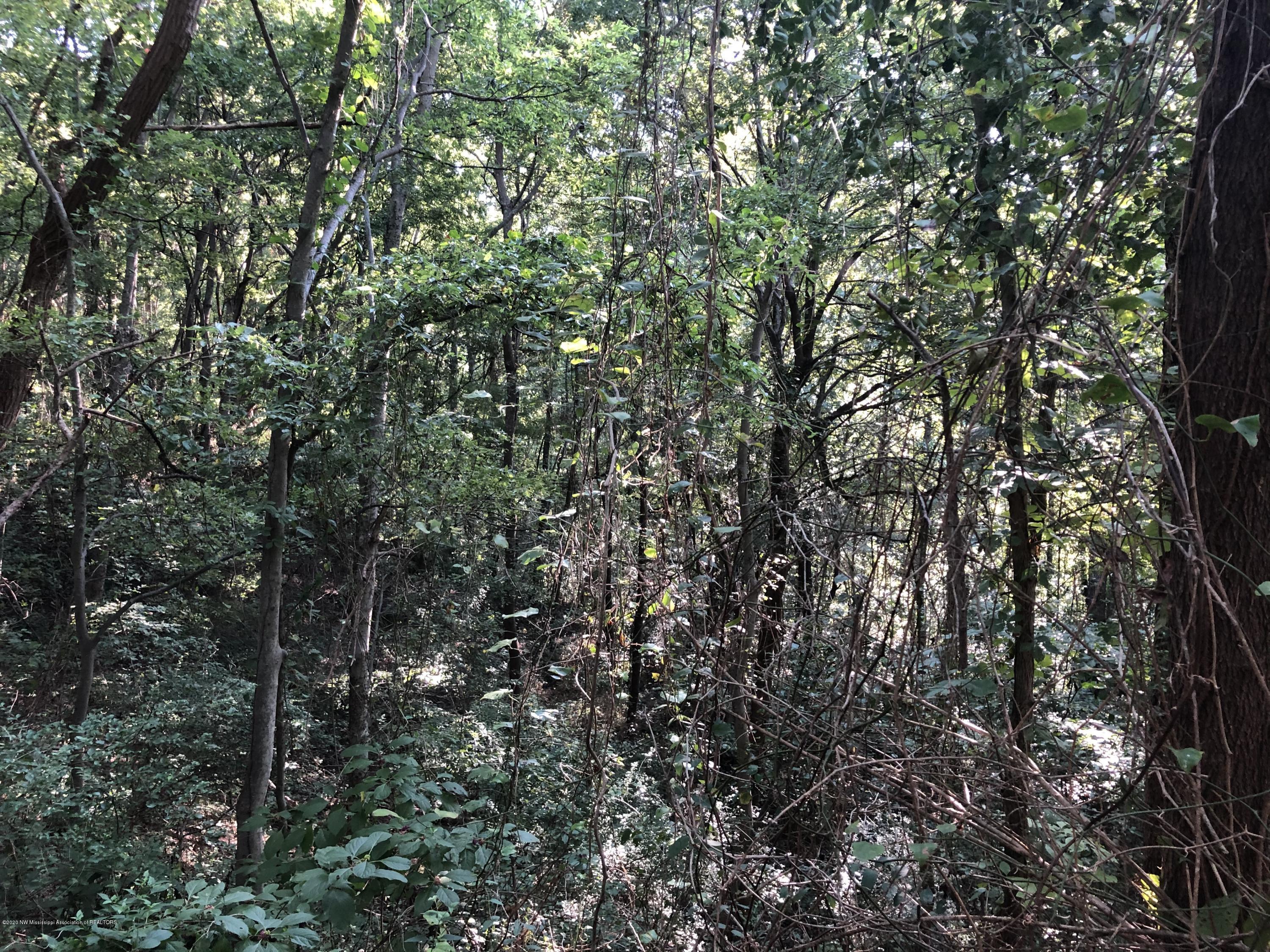 0 Askew Road Crenshaw, MS 38621 - Photo 6 of 10 IMG_1126