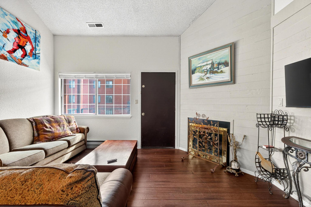 407 South Vasels Road, Unit 24 Brian Head, UT 84719 - Photo 2 of 63 Living room featuring a fireplace, dark wood finished floors, a textured ceiling, and a baseboard radiator