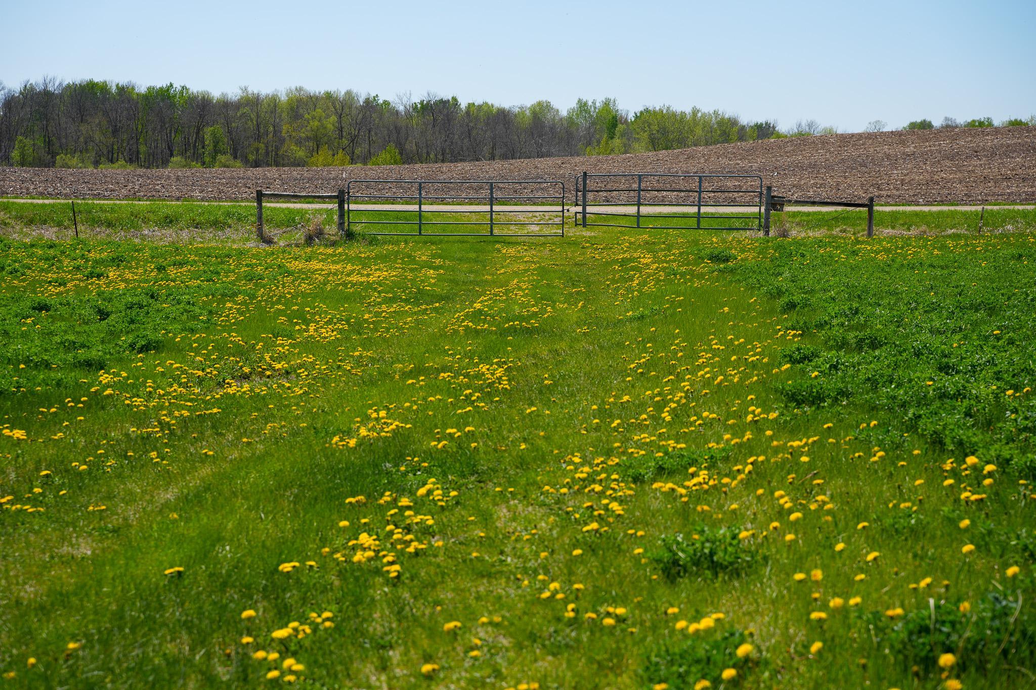 Tbd 140 Street Frazee, MN 56544 - Photo 51 of 149