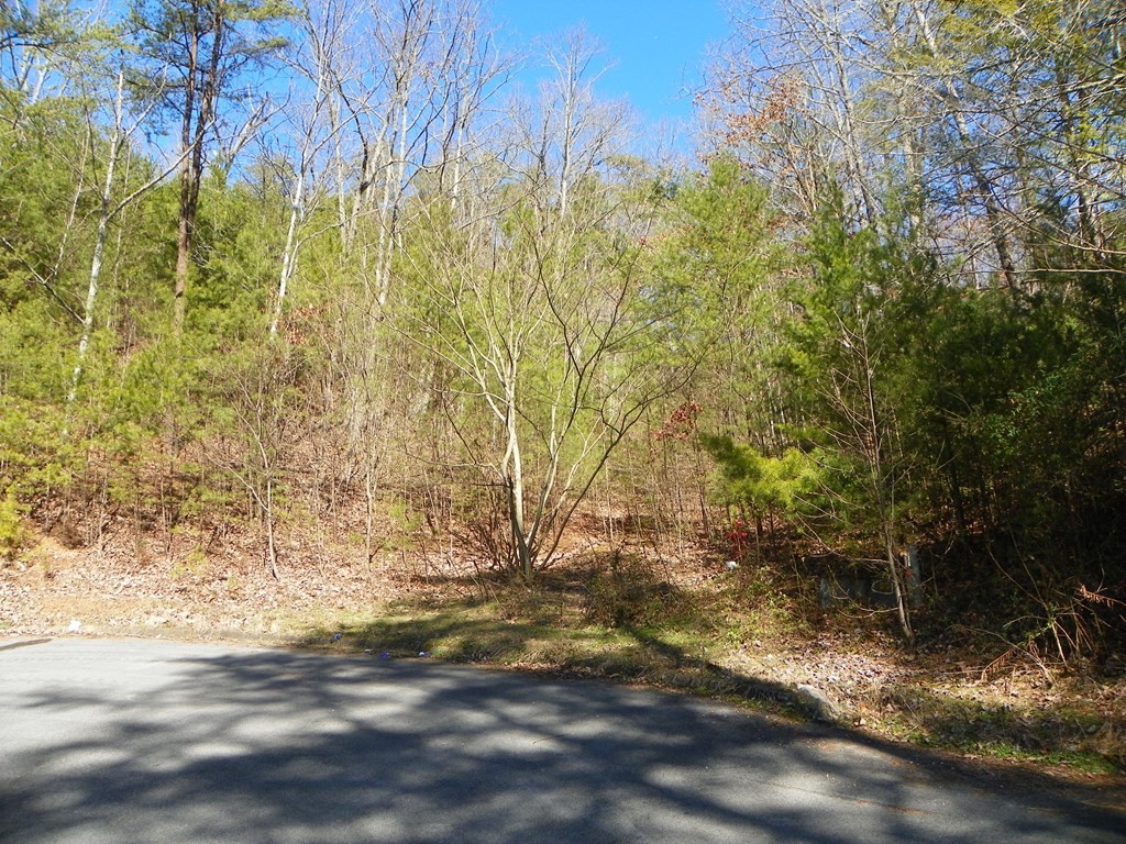 0 Shadow Ridge Drive Sevierville, TN 37862 - Photo 4 of 13