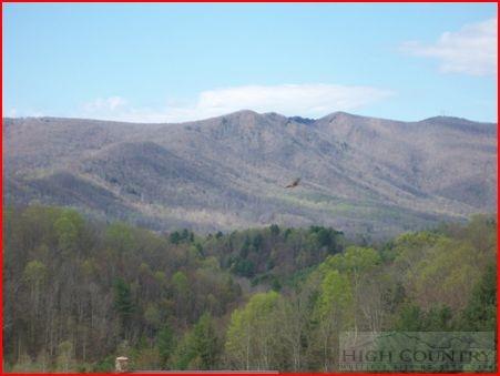 24 Clearview Ridge Crumpler, NC 28617 - Photo 1 of 17 Gallery Image 1