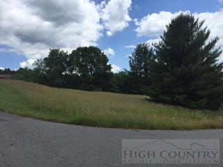 24 Clearview Ridge Crumpler, NC 28617 - Photo 15 of 17 Gallery Image 15