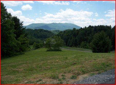 24 Clearview Ridge Crumpler, NC 28617 - Photo 2 of 17 Gallery Image 2