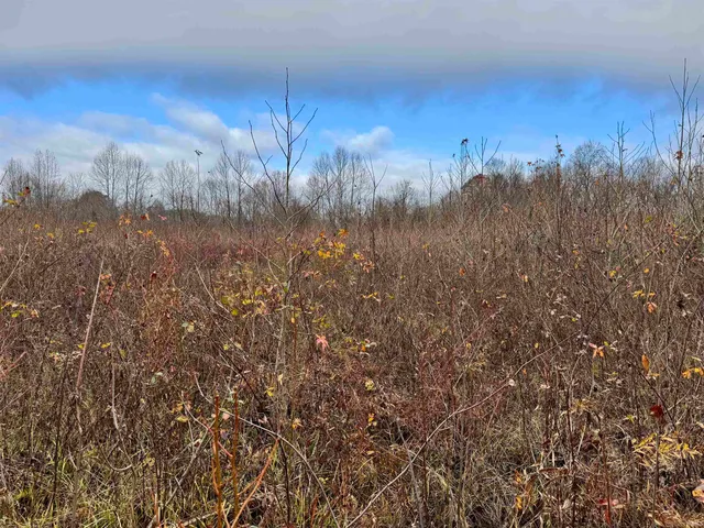 $695,000 | Off Off Apple, Tell City, IN 47586