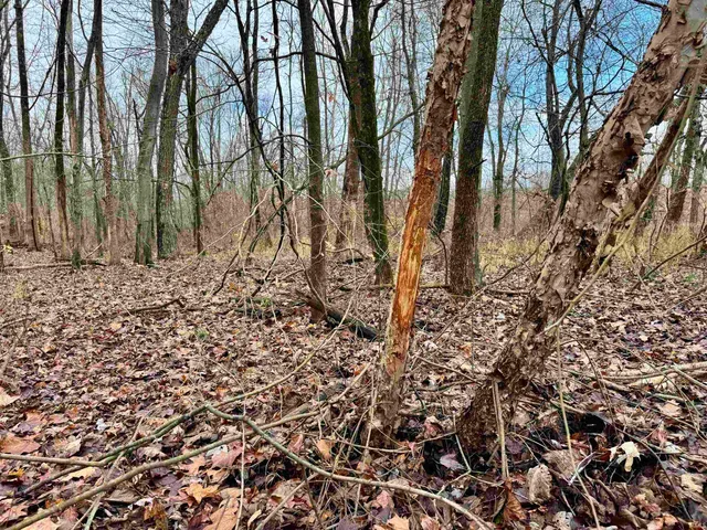 $695,000 | Off Off Apple, Tell City, IN 47586