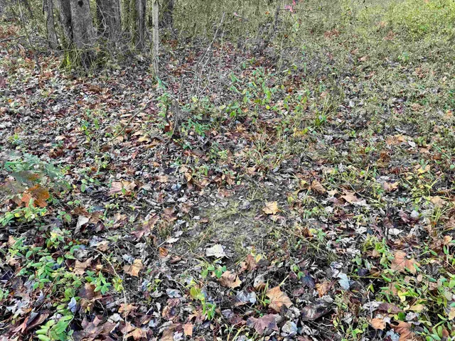 $695,000 | Off Off Apple, Tell City, IN 47586