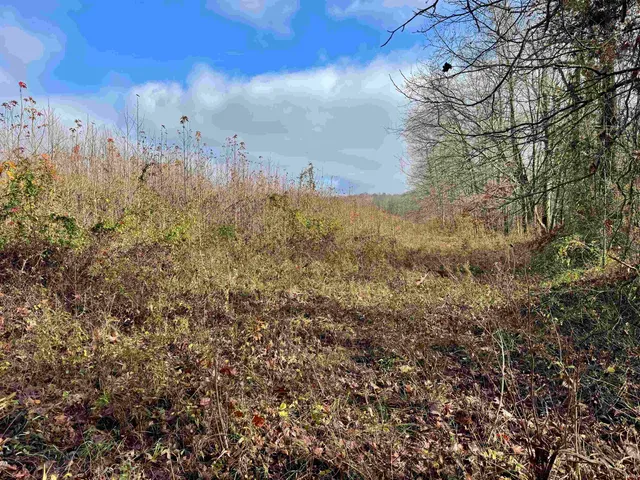 $695,000 | Off Off Apple, Tell City, IN 47586