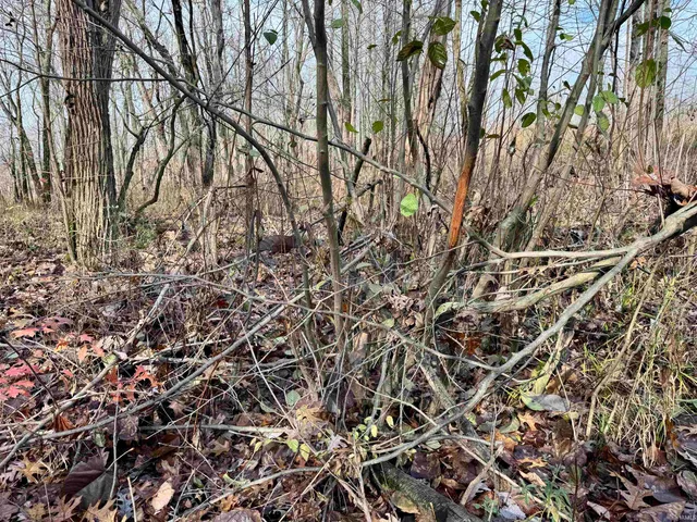 $695,000 | Off Off Apple, Tell City, IN 47586