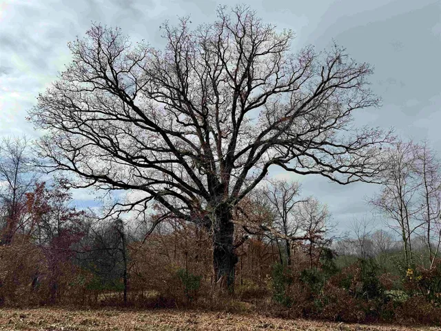 $695,000 | Off Off Apple, Tell City, IN 47586