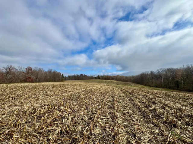 $695,000 | Off Off Apple, Tell City, IN 47586