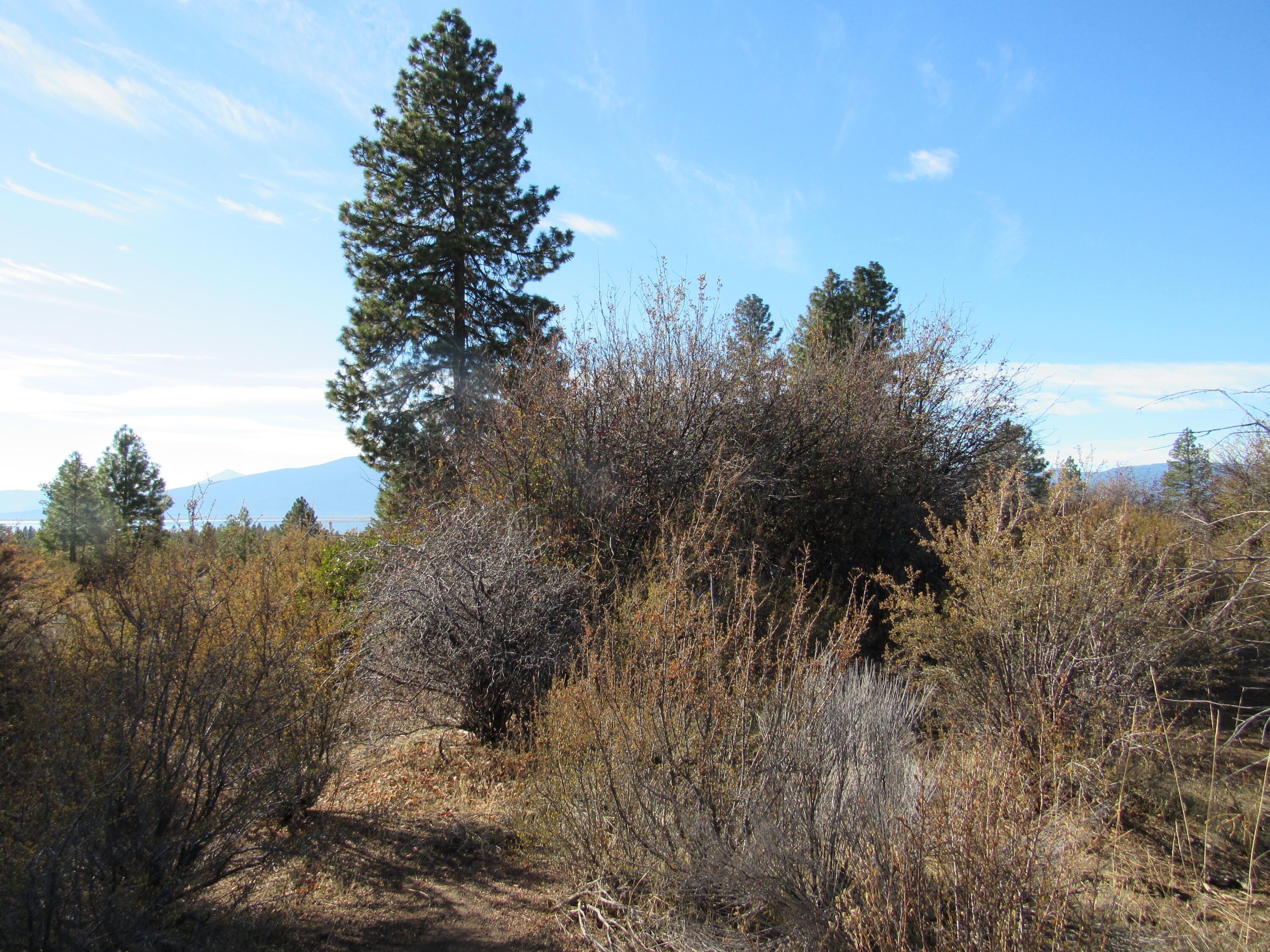 Ranch Rd Road, Unit 872673 Chiloquin, OR 97624 - Photo 5 of 7 IMG_2231